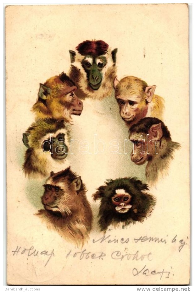 T2 Apes, Monkeys, Litho - Unclassified