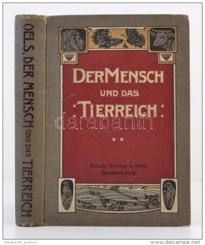 Dr. W. Oels: Der Mensch Und Das Tierreich. Eine Naturkunde Für Schule Und Haus. Druck Und Verlag Von Friedrich... - Non Classificati