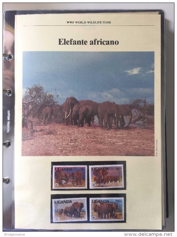 WWF EXCEPTIONAL COLLECTION IN 22 BOLAFFI ALBUMS - 1026 MNH** Stamps + 1026 FDC - HD Scans On Description - Lots & Serien