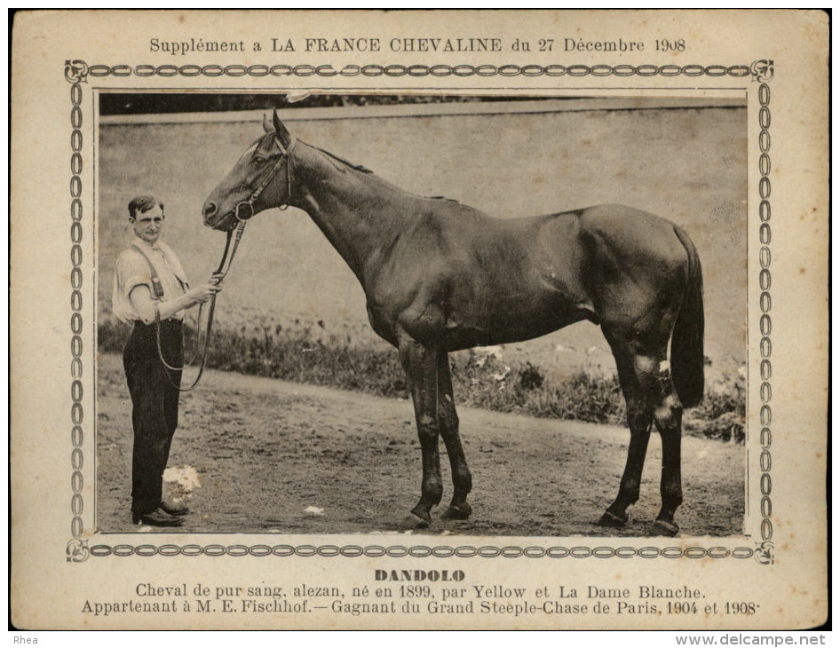 CHEVAUX - HIPPISME - Courses De Chevaux - Cheval De Course - Supplément à La France Chevaline 1908 - - Animaux