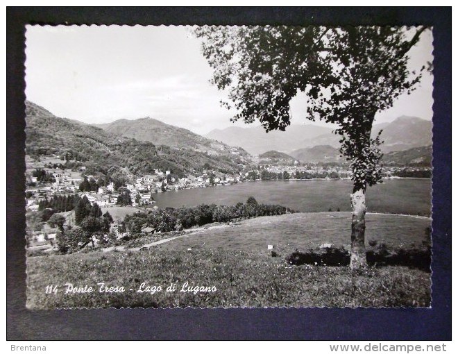 SVIZZERA -TICINO -PONTE TRESA -F.G. LOTTO N°551 - Ponte Tresa