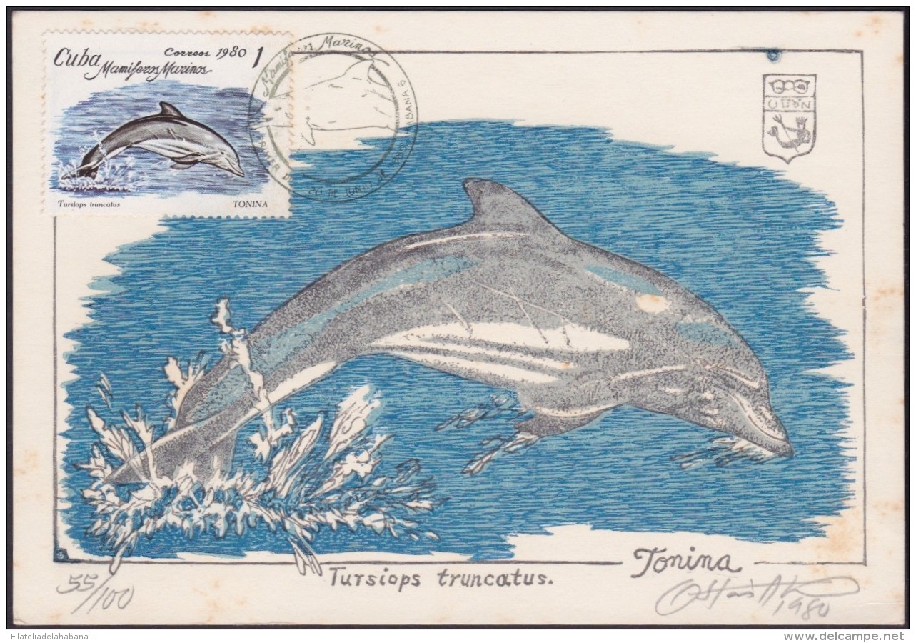 TMA-72 CUBA 1980 FDC MAXIM CARD ENTOLOMOLOGIA DELFINES DOLPHINS FISH PECES ONLY 100 GRABADO ORIGINAL OTTON - Cartes-maximum