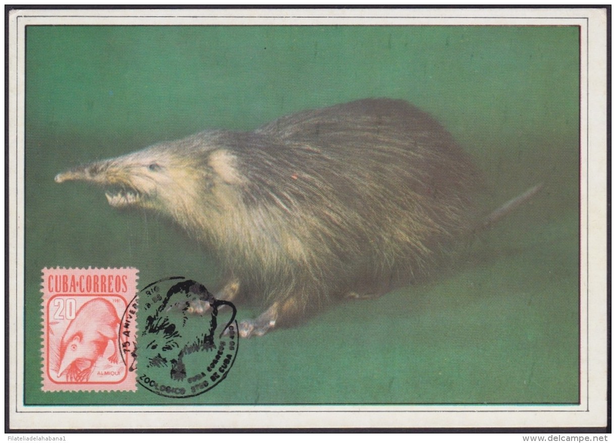 TMA-86 CUBA 1985 SPECIAL CANCEL MAXIM CARD ALMIQUI MOUSE. - Cartes-maximum