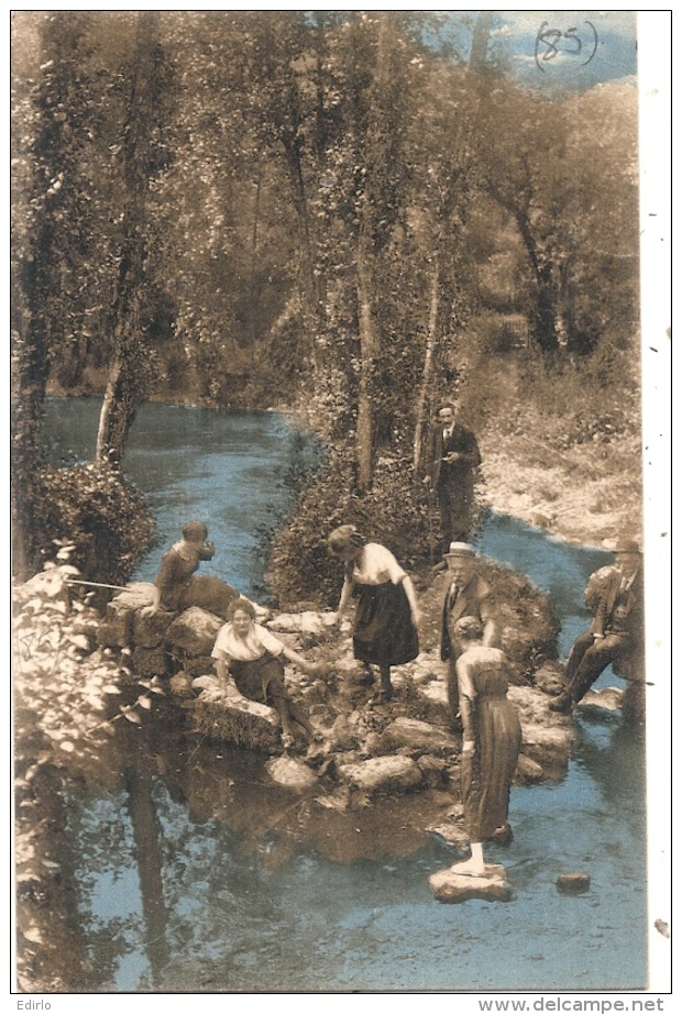 St Hilaire Des Loges - Forêt De MERVENT - Pierre Brune -animée -colorisée -ed. Bergevin - Saint Hilaire Des Loges