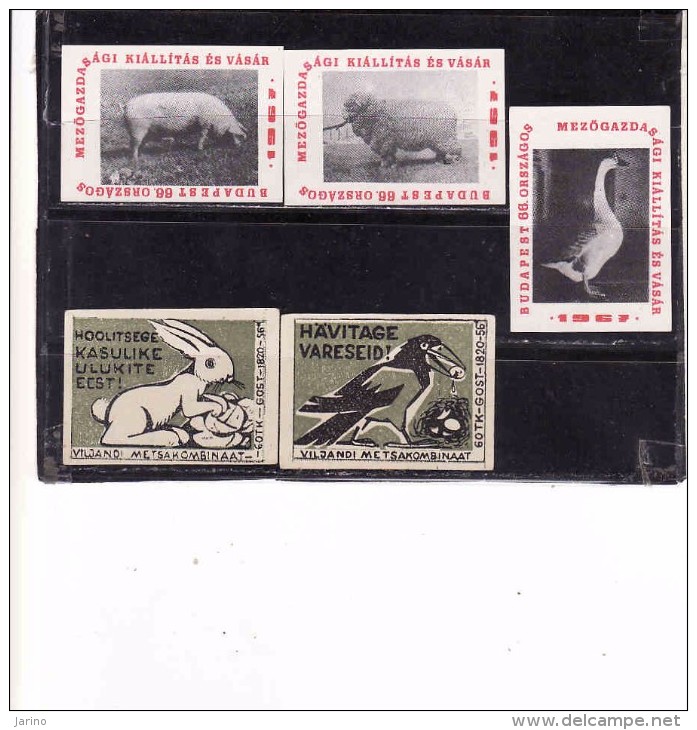 Hungary Boites D'allumettes-etiquettes, Match Labels Hungary 1956, Lievre Lapin Hare Porc Mouton Oie Goose Corneille - Boites D'allumettes - Etiquettes