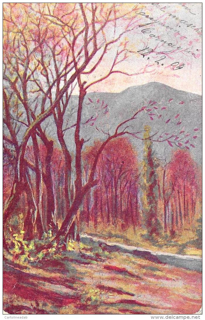 [DC3071] CPA - BOSCO ALBERI MONTAGNA NATURA - Viaggiata 1905 - Old Postcard - Altri & Non Classificati