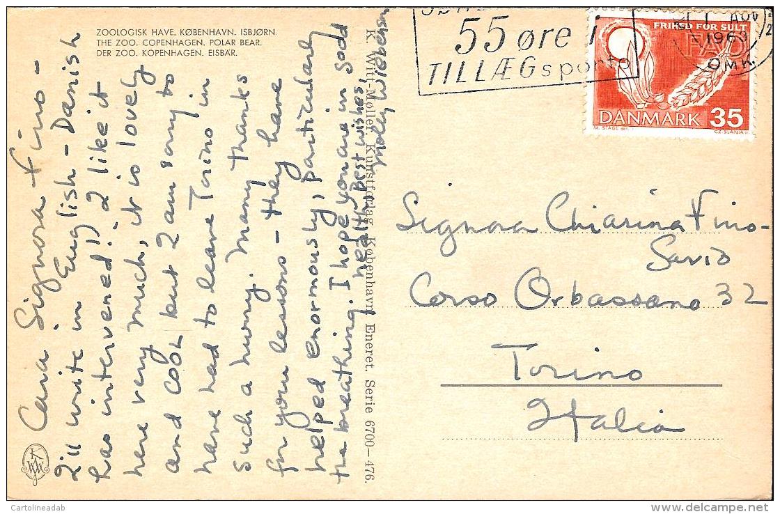 [DC3083] CARTOLINA - DANIMARCA - COPENHAGEN - ZOO - ORSO POLARE - Viaggiata 1963 - Old Postcard - Danimarca