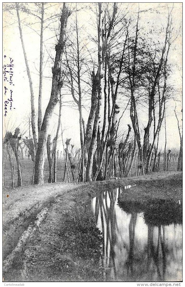 [DC3088] CPA - BIALERA STRADA ALBERI - FOTOGRAFICA - Viaggiata 1902 - Old Postcard - Sonstige & Ohne Zuordnung