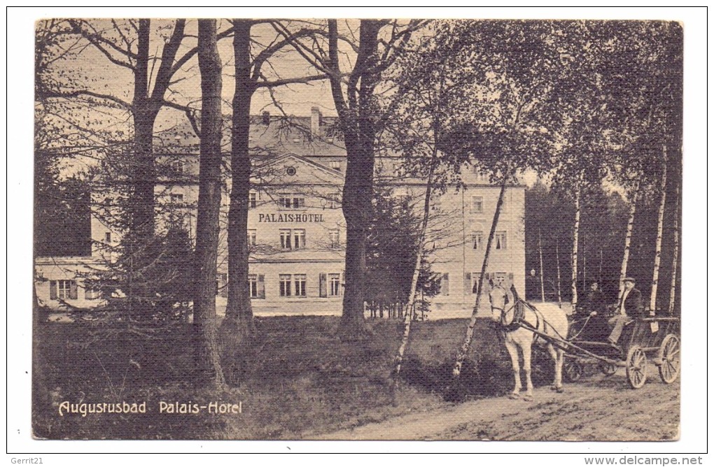 0-8142 RADEBERG AUGUSTUSBAD, Palais-Hotel - Radeberg