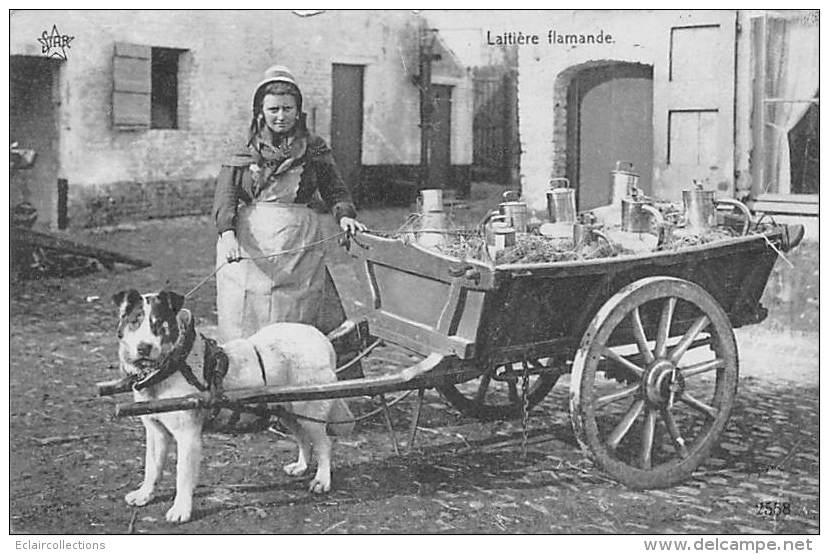 Belgique      Laitière Flamande . Attelage De Chien - Sonstige & Ohne Zuordnung