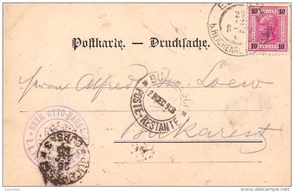 ERZHERZOG OTTO HAUS - RAX (1715 M) - PÄCHTER : CAMILLO KRONICH - PRÉCURSEUR / FORERUNNER : ANNÉE / YEAR ~ 1900 (u-589) - Neunkirchen