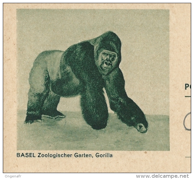 Suisse: Entier N° 193/14 BASEL Zoologischer Garten; Gorilla  Obl: Sessa 07/08/1963 - Gorilla's