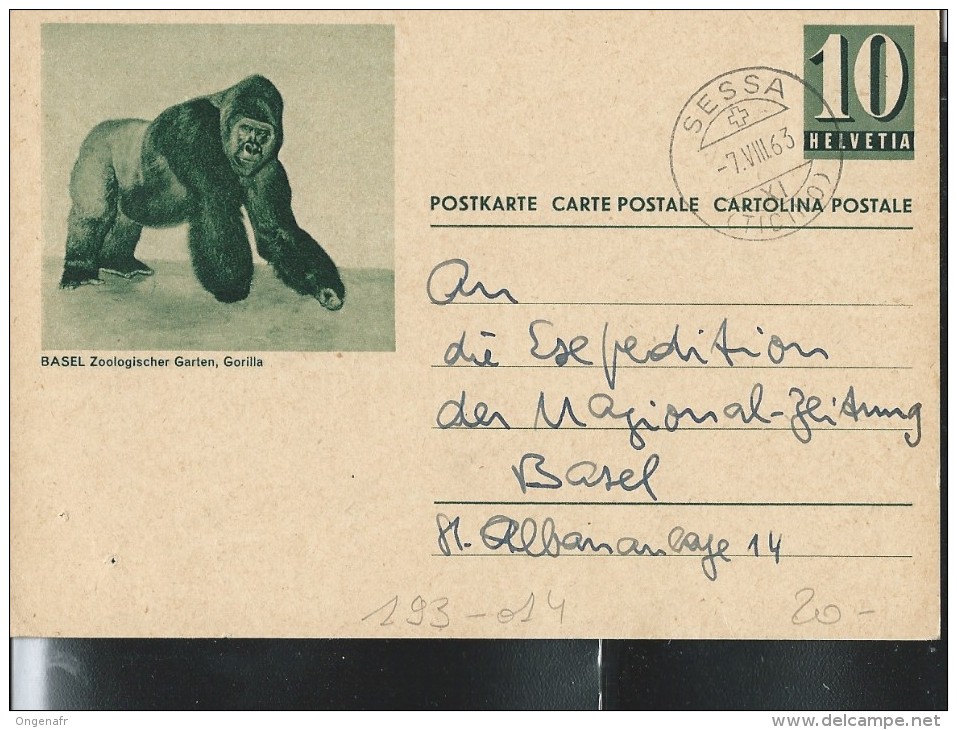 Suisse: Entier N° 193/14 BASEL Zoologischer Garten; Gorilla  Obl: Sessa 07/08/1963 - Gorilla's