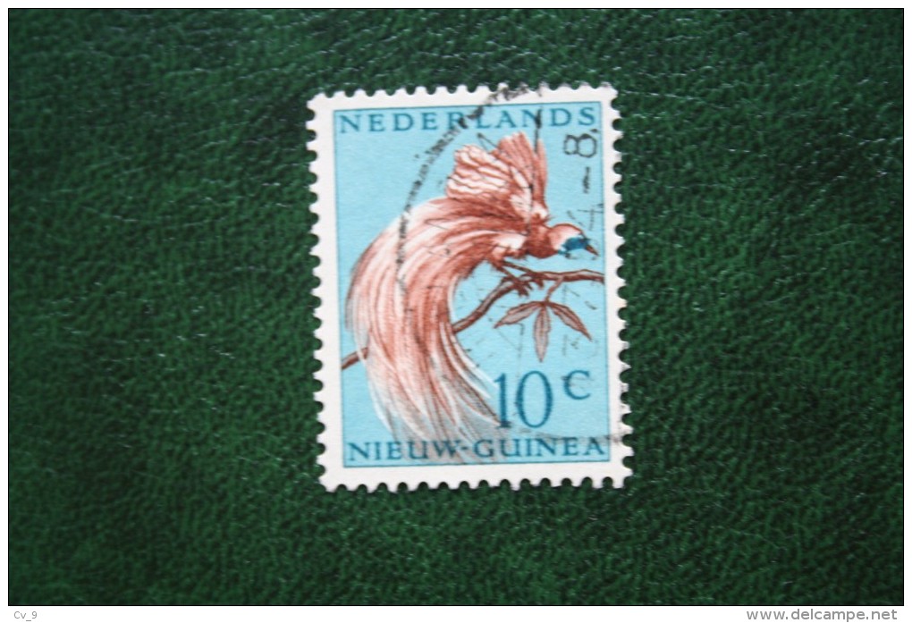 Paradijsvogels Birds Vogel 10c NVPH 27 1954 Gestempeld Used NIEUW GUINEA NIEDERLANDISCH NEUGUINEA NETHERLANDS NEW GUINEA - Niederländisch-Neuguinea