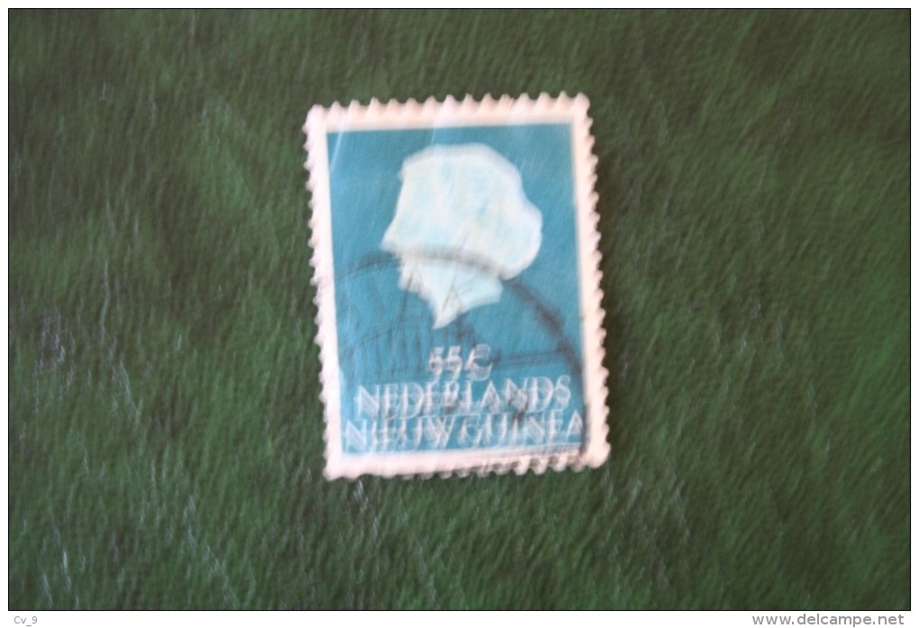 55 Ct Koningin Juliana NVPH 34 1954 Gestempeld Used NIEUW GUINEA NIEDERLANDISCH NEUGUINEA NETHERLANDS NEW GUINEA - Niederländisch-Neuguinea