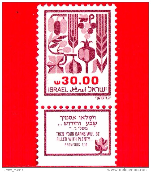 ISRAELE -  Usato - 1984 - Prodotti - Frutti Della Terra Di Canaan - 30.00 - Used Stamps (with Tabs)