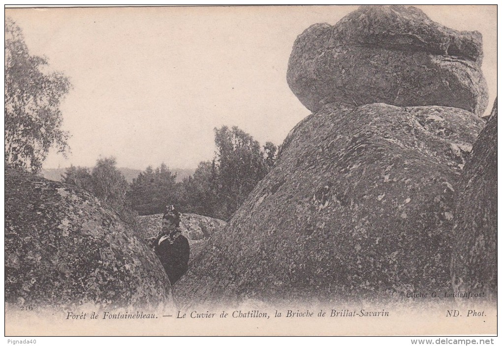 G , Cp , 77 , FONTAINEBLEAU , La Forêt , Le Cuvier De Chatillon, La Brioche De Brillat-Savarin - Fontainebleau