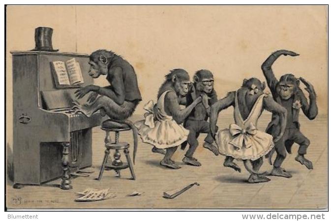 CPA Fantaisie Singe Monkey Position Humaine Humanisé Habillé Non Circulé Gaufré Musique Piano - Singes