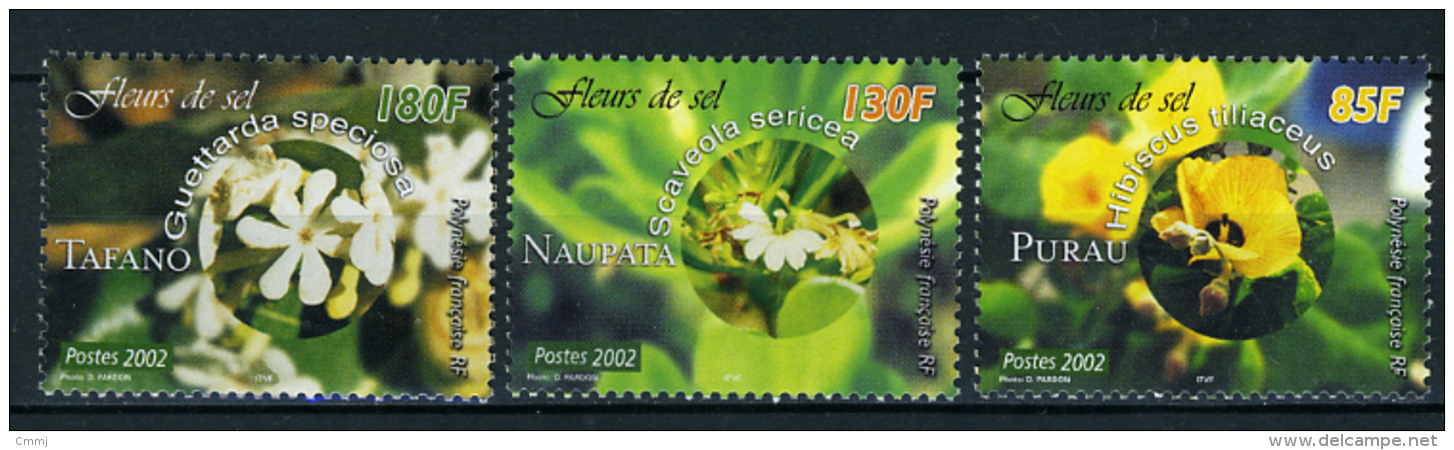 2002 - POLINESIA FRANCESE - FRENCH POLYNESIA - Scott  Nr. 837/838 - NH - ( **) - (K-EA-372270) - Nuovi