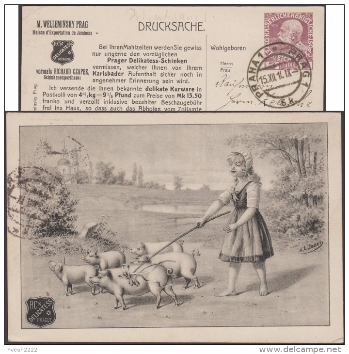Autriche-Hongrie 1910. Entier Postal Timbré Sur Commande.  Maison D'exportation De Jambons, Prague. Jeune Fille, Cochon - Agriculture