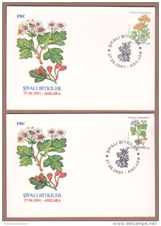 AC TURKEY MAXIMUM CARD -MEDICINAL HERBS ANKARA 27 JUNE 2001 - Tarjetas – Máxima