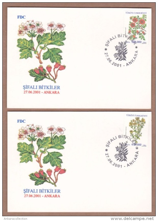 AC TURKEY MAXIMUM CARD -MEDICINAL HERBS ANKARA 27 JUNE 2001 - Tarjetas – Máxima