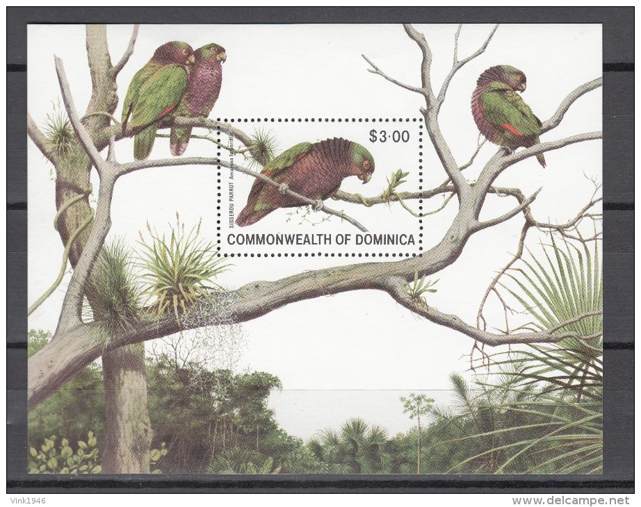 Dominica 1981,1V In Block,birds,vogels,vögel,oiseaux,pajaros,uccelli,aves,,MNH/Postfris(L2431) - Other & Unclassified