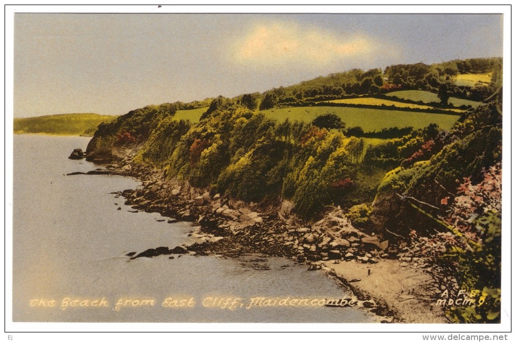 The Beach From East Cliff, Maidencombe - Friths - Unused - Other & Unclassified