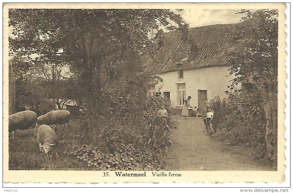 35. WATERMAEL : Vieille Ferme - Variante Peu Courante - Watermaal-Bosvoorde - Watermael-Boitsfort