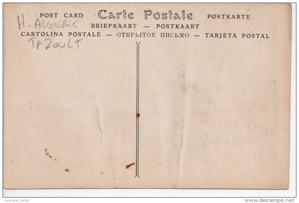 CPA.Algerie.Touzoult.Musée De Lambèse.Mosaïque. - Other & Unclassified