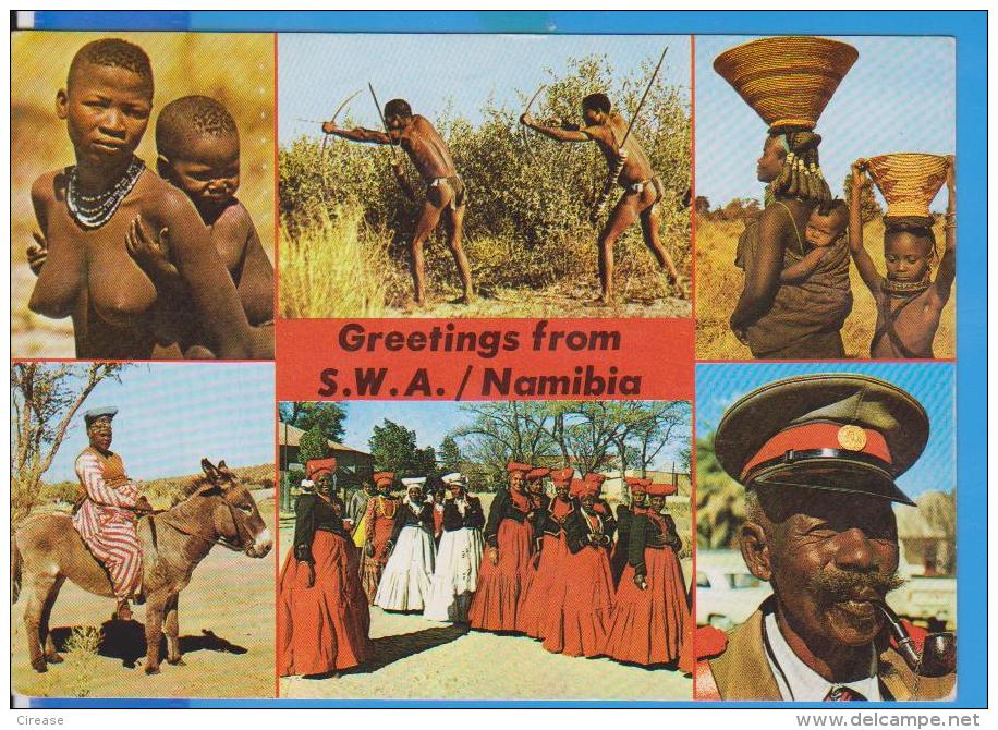 POSTCARD NAMIBIA GREETINGS FROM S.W.A. UNUSED - Namibia