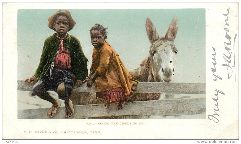 CHATTANOOGA - TENNESSEE -  ENFANTS NOIRS - ÂNE - " EN REGARDANT PASSER LE CIRQUE" - Chattanooga