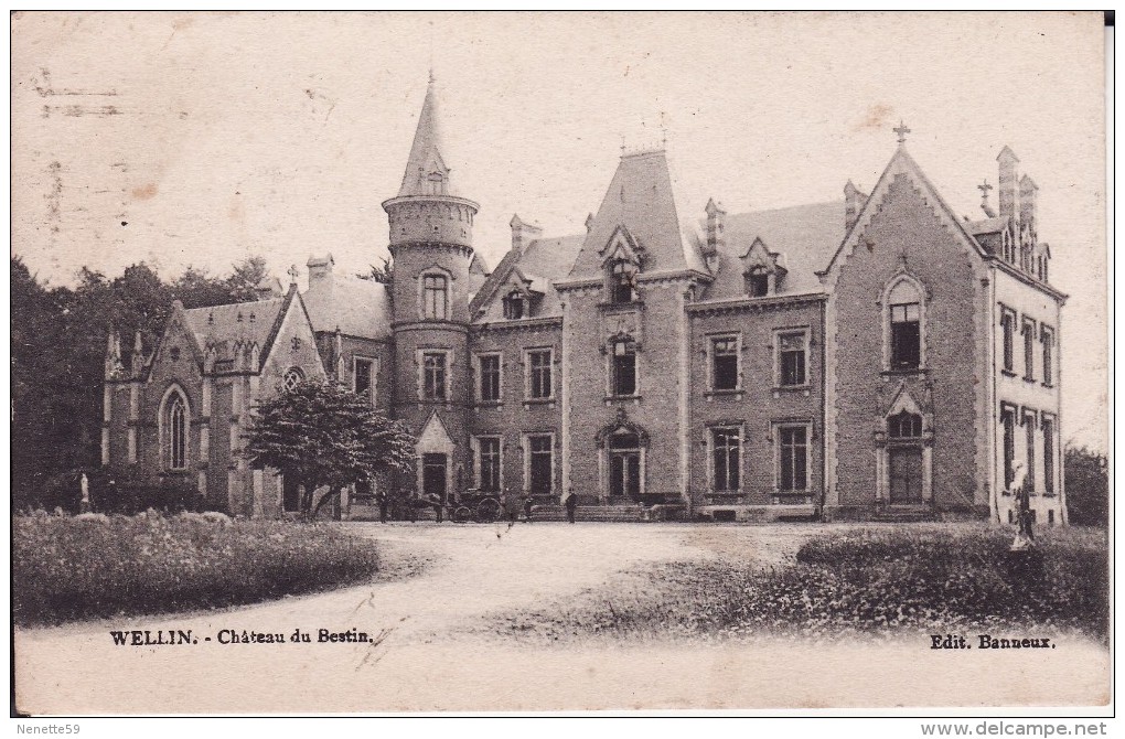 WELLIN -- Château Du Bestin ( Dos NON Divisé ) - Wellin