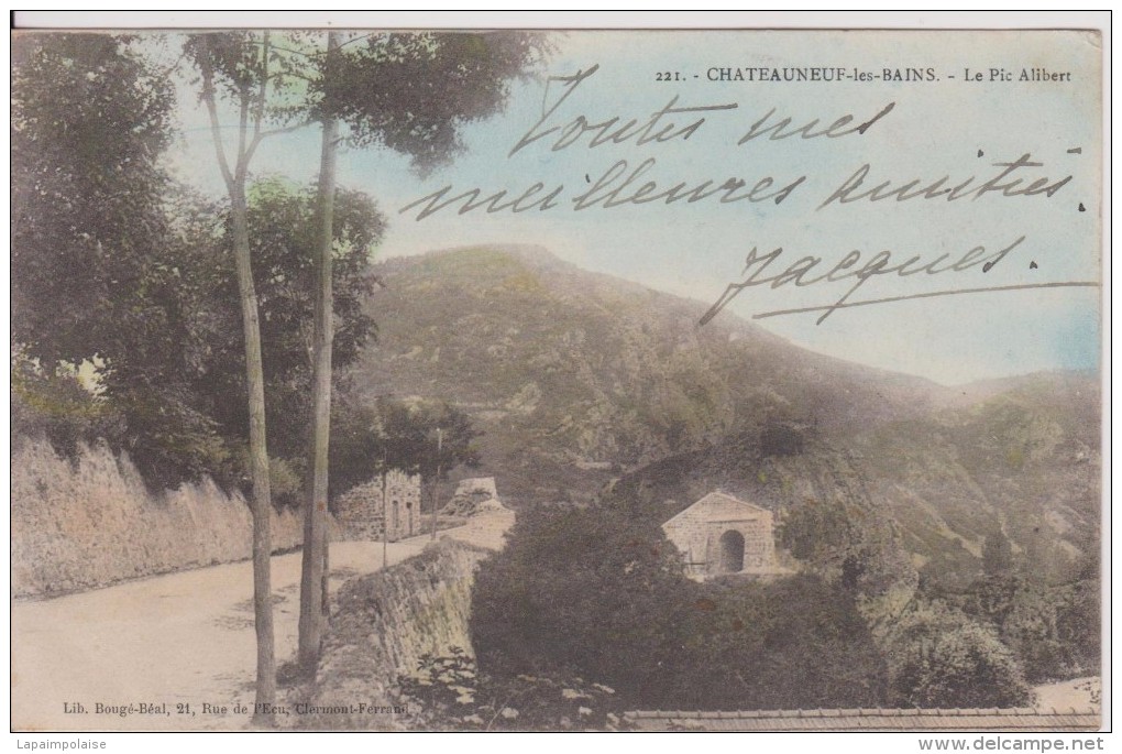 63 PUY DE DOME Chateauneuf Les Bains "  Le Pic Alibert   "   Bougé N° 221 - Altri & Non Classificati