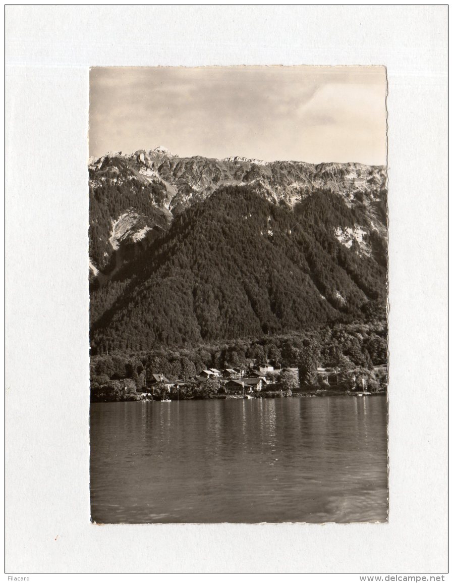 62830     Svizzera,  Bonigen,  Faulhornkette,  VG  1954 - Bönigen
