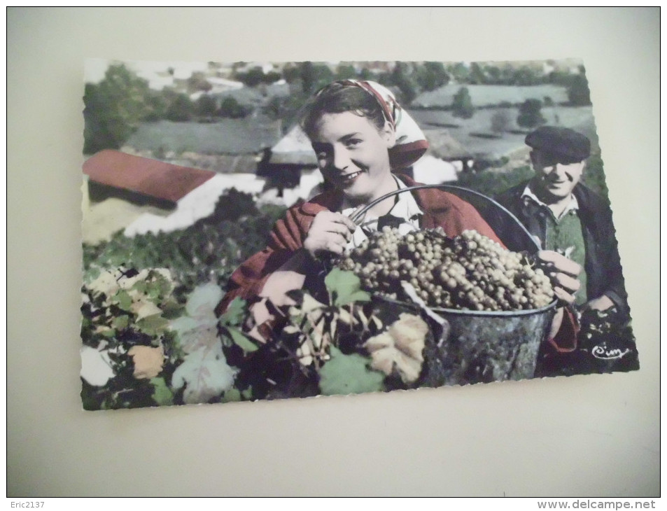 En Vendanges ..un Sourire Apres La Cueillette - Vignes