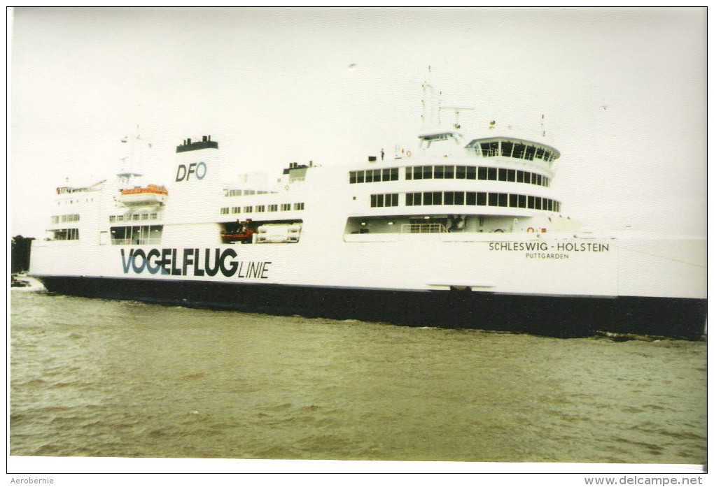 MS SCHLESWIG-HOLSTEIN / Vogelfluglinie  - XXL-Pressefoto - Schiffe