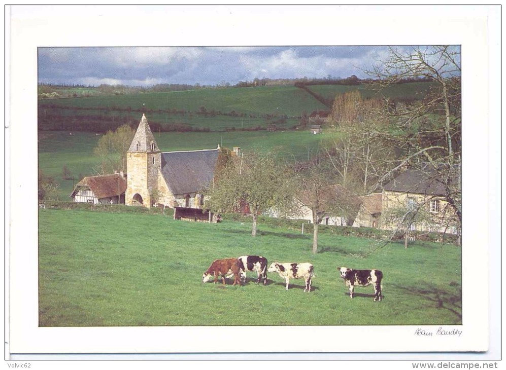 CP Normandie Le  Pays D´auge  Ref N 8669 Photo Alain Baudry Collection 12 X 17 - Other & Unclassified