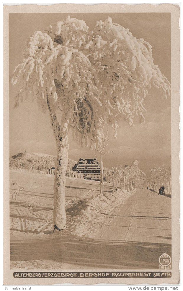 Winter AK Walter Hahn 11937 Berghof Raupennest Bei Altenberg Erzgebirge Zinnwald Cinovec Geising Eichwald Teplitz - Geising