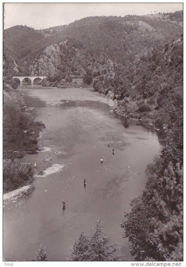 Bc - Cpsm Grand Format Retournac - Partie De Pêche Sur La Loire - Retournac