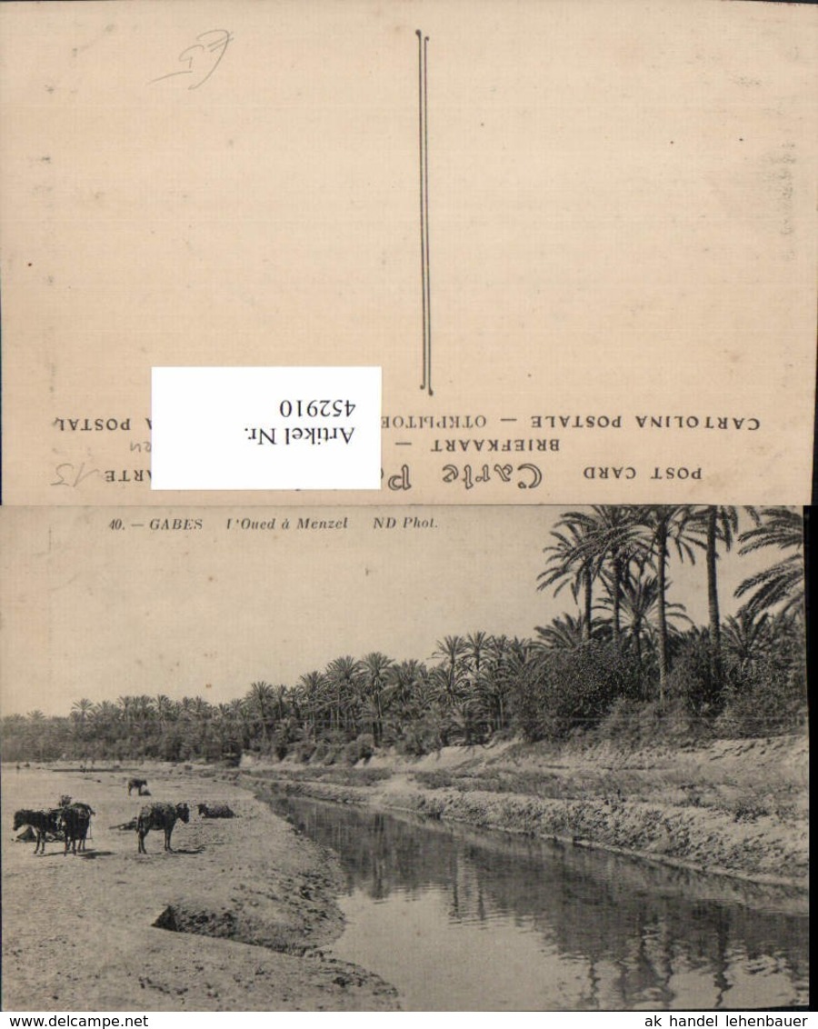 452910,Tunisia Gabes L'Oued A Menzel Palmen Fluss - Tunesien