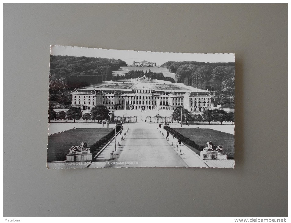 AUTRICHE VIENNE WIEN SCHLOSS  SCHÖNBRUNN GESAMTANSICHT - Château De Schönbrunn