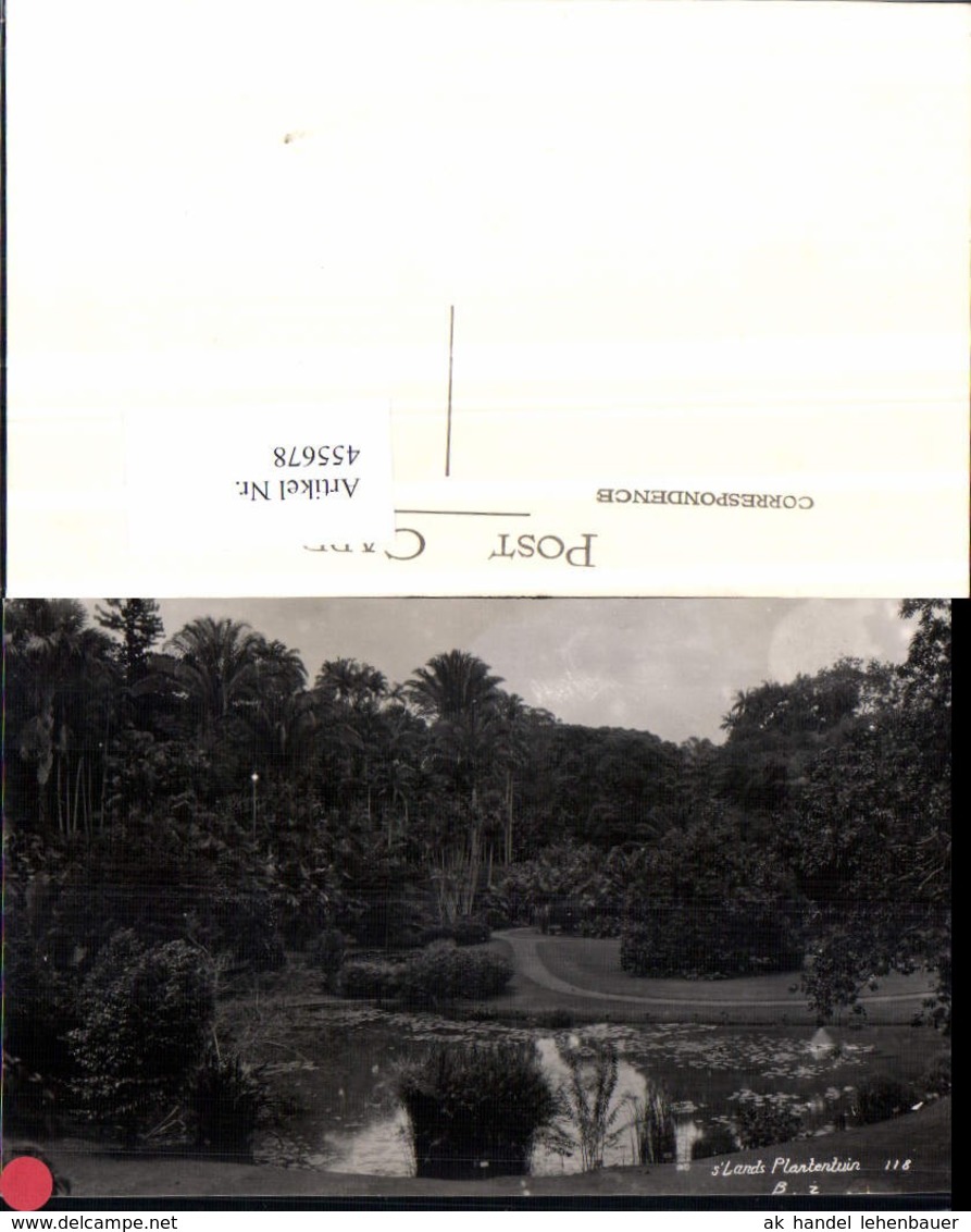 455678,Indonesia Jakarta Kebun Raya Bogor Lands Plantentuin Botanischer Garten - Indonesien