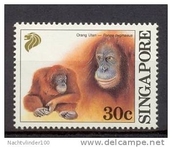 Mwt018 FAUNA AAP ORANG OETAN ORANG UTAN APEN ZOOGDIER MONKEYS MAMMALS APES AFFEN SINGES SINGAPORE 1993 PF/MNH VANAF1EURO - Monkeys