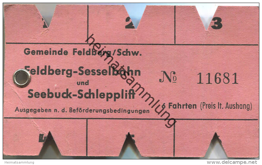 Feldberg-Sesselbahn Und Seebuck-Schlepplift - 6 Fahrten - Europa