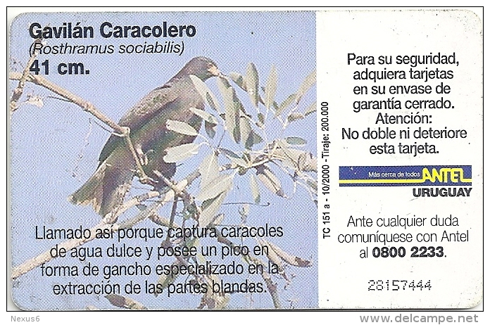 Uruguay - Antel - Gavilan Caracolero Bird - TC 151a - 10.2000, 200.000ex, Used - Uruguay