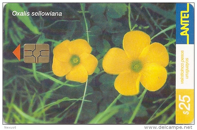 Uruguay - Antel - Macachin Amarillo Flower - TC 219a - 01.2002, 200.000ex, Used - Uruguay