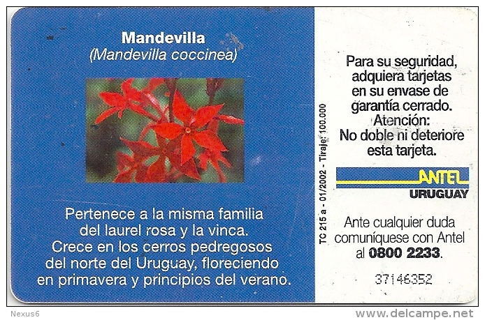 Uruguay - Antel - Mandevilla Flower - TC 215a - 01.2002, 100.000ex, Used - Uruguay