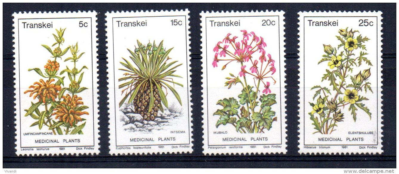 Transkei - 1981 - Medicinal Plants (2nd Series) - MNH - Transkei