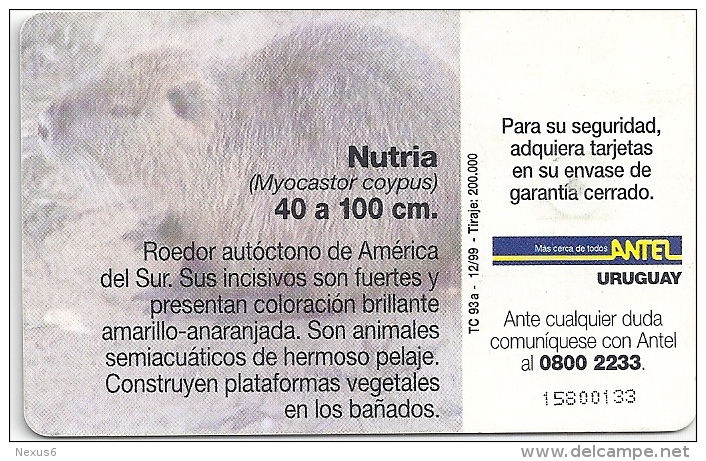 Uruguay - Antel - Nutria Myocastor Coypus Animal - TC 93a - 12.1999, 200.000ex, Used - Uruguay